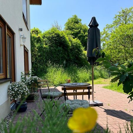 Ferienwohnung Im Moselland Maring-Noviand ภายนอก รูปภาพ